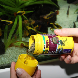 JBL PRONOVO GUPPY FLAKES S 250ml